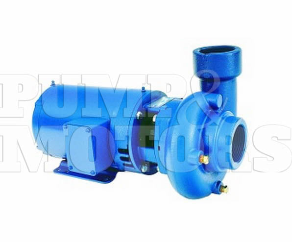 Goulds 53BF1E1E0 1 HP Bronze Fitted Low Head Centrifugal Pump
