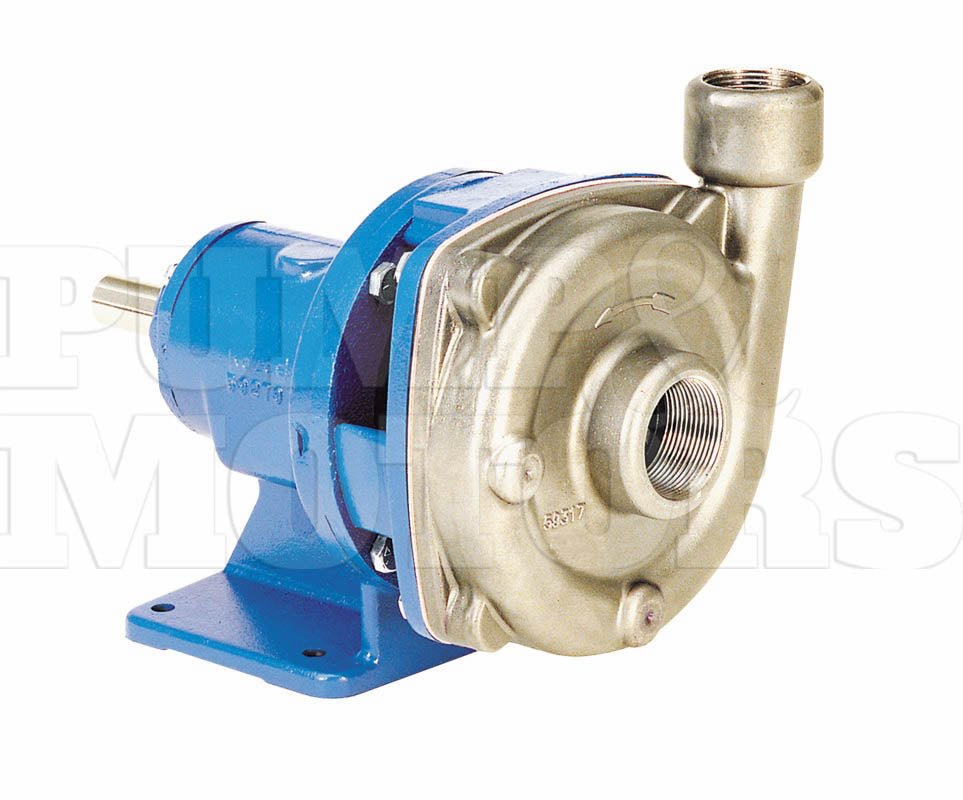 Goulds 1SSFRMK0 Stainless Steel End Suction Bare Pump
